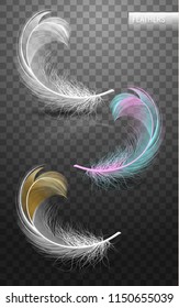 Isolated falling fluffy twirled feathers on transparent background in realistic style. Vector Illustration