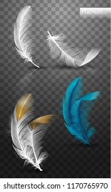Isolated falling fluffy twirled feathers on transparent background in realistic style. Vector Illustration