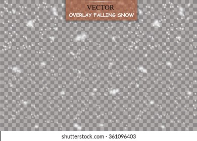 Isolated Falling Snow Overlay