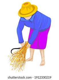 isolated farmer harvest rice vector design