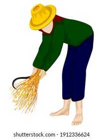 isolated farmer harvest rice vector design