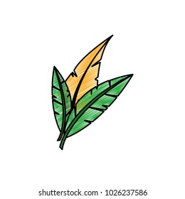 Isolated feather design