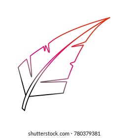 Isolated feather design
