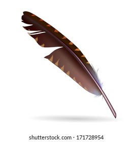isolated feather on white background