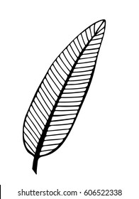 Isolated feather on the white background. Single black line feather for card, coloring book, typography and other design.