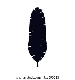 Isolated feather plume design