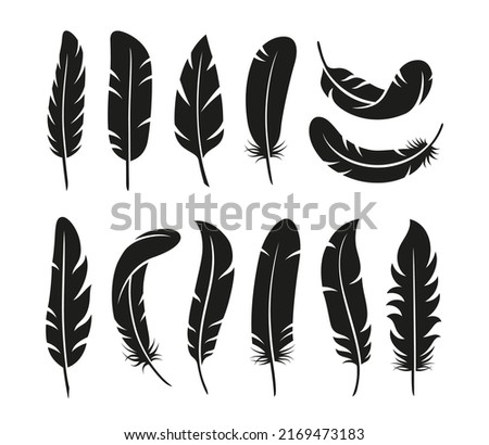Isolated feather silhouettes. Flat black feathers, vintage bird plumage elements. Smooth graphic shapes, flying decorative elements tidy vector collection