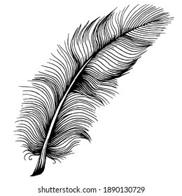 298,228 Feather silhouette Images, Stock Photos & Vectors | Shutterstock