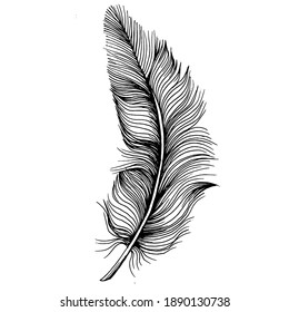 Isolated feather from wing. Isolated illustration element. Vector feather for background, texture, wrapper pattern, frame or border.