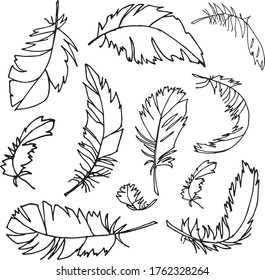 Einzige FEDER, handgezeichnet, schwarz-weiß, Vektor EPS10. Verwendung für Druck auf Geschirr, Grußkarte, Einladungen, Textilien, Hochzeit, Bücher, Tapeten, Stoff, Wrappers, Dekoration, Karte, Illustration.
