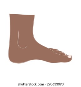 Isolated feet in vector