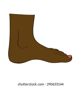 Isolated feet in vector