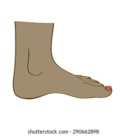 Isolated feet in vector
