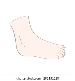 Isolated feet in vector