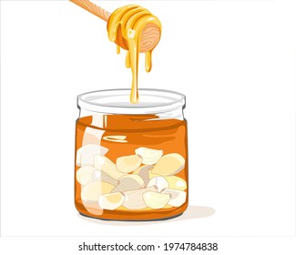 Isolated Fermented Honey Garlic on white background. Honey drip to a jar that contains unpeeled garlics and honey inside. Food and herb drawing vector illustration.   