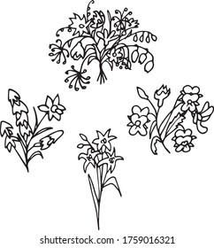 Isolated field bouquets, hand drawn. Black and white. Vector EPS 10.Use for print on invitations, wallpaper, textiles, greeting cards, fabric, t-shirt, dishes, decor, postcard, wrappers, packaging.