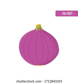 Eigene Feigenfrucht im modernen Flachstil. Gesunde exotische violette Lebensmittel. Vitaminpflanze. Vektorillustration-Illustration 