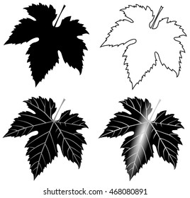  Isolated Fig Leaf, Vector,fig Leaf,illustration,garden,