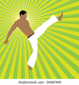 isolated fighter silhouette, vector illustration