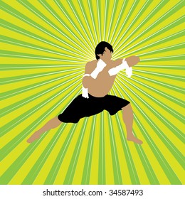 isolated fighter silhouette, vector illustration