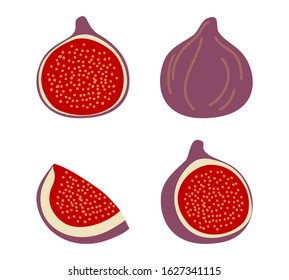 Isolated figs, design colorful vector illustration. Collection of whole and sliced fresh fig fruits isolated on white background