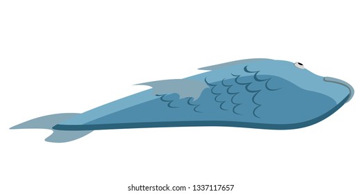 Isolated fish icon image. Vector illustration design