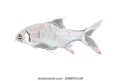 isolated fish illustration without background