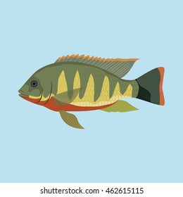 Isolated fish on blue background, Vector illustration
