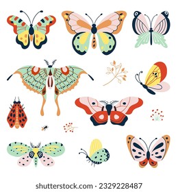 Isolated flat decorative butterflies. Types butterfly and insects, nature graphic elements. Colorful doodle moth, seasonal nowaday vector collection