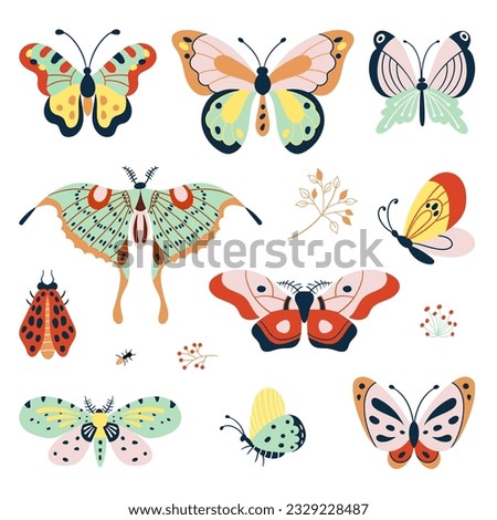 Isolated flat decorative butterflies. Types butterfly and insects, nature graphic elements. Colorful doodle moth, seasonal nowaday vector collection