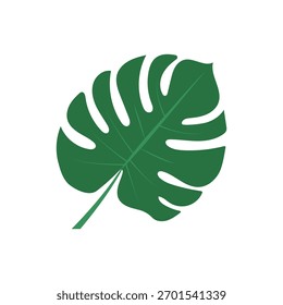 Ilustração isolada de design plano de uma única folha verde tropical Monstera Deliciosa