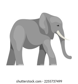 Isolated flat elephant. Vector illustration.