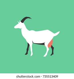 Isolated flat goat. Farm animal cartoon character.