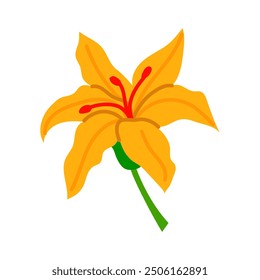 Isolated flat illustration of a Mexican lily flower, a theme of tropical decor. Yellow large open lily flower isolated on a white background. A flower on a stem with Mexican-themed pistils