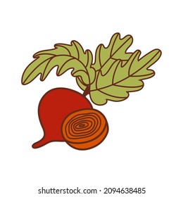 Isolated flat vector illustration beet and slice