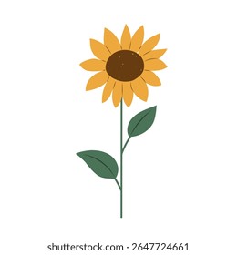 Ilustração isolada do vetor plano do girassol colorido desenhado à mão no fundo branco. Estilo de vida Cottagecore.