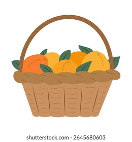 Ilustração vetorial plana isolada de cesta de vime com damascos sobre fundo branco. Estilo de vida Cottagecore. Alimentos saudáveis