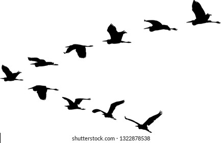 isolated flight formation of birds - symbol of spring
 - Shutterstock ID 1322878538