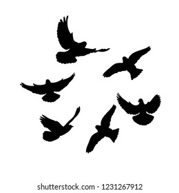  isolated, flock of birds flying, black silhouette