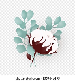 Isolated floral cotton and eucalyptus branch. Organic ecological element for design wedding card, birthday poster or pattern