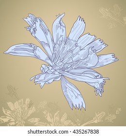 Isolated floral design element. Hand-drawn vector illustration with flower.