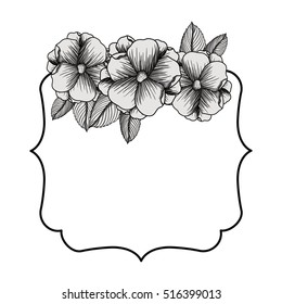 Isolated floral frame design