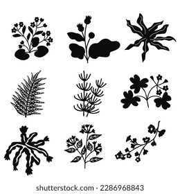 Conjunto decorativo vectorial floral aislado
