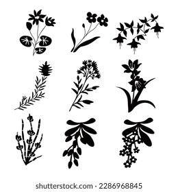 Conjunto decorativo vectorial floral aislado