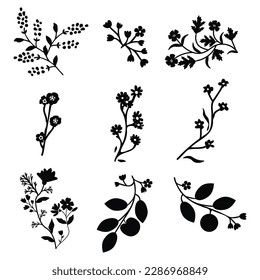 Conjunto decorativo vectorial floral aislado