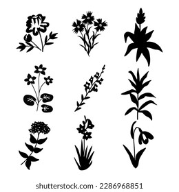 Conjunto decorativo vectorial floral aislado