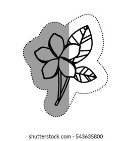 Isolated flower decoration design