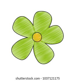 Isolated flower design