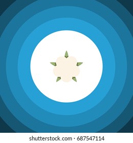 Isolated Flower Flat Icon. Bud Vector Element Can Be Used For Flower, Cotton, Bud Design Concept.