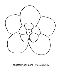 Isolated flower image